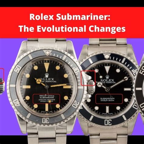 rolex investor relations